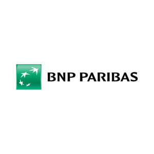 Business-Loan-Expert_0021_logo-bnp